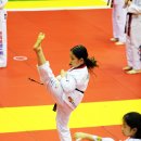 천마석사태권도장 이미지