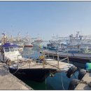 주문진항문어 | 주문진 가볼만한곳 [주문진항&amp;주문진어민수산시장] 후기