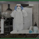 송광사&amp;벚꽃길 | 송광사와 벚꽃길 산책 후기: 아름다운 봄날의 힐링 여행