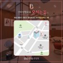 신비성형외과