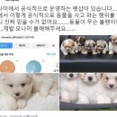 모나미문구 - 이천시 향교로 44-4 | 모나미문구