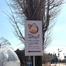 흐르는 강물을 바라 | [양평] 두물머리, 결국 목적지는 연핫도그