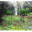 바다로가는 펜션 이미지