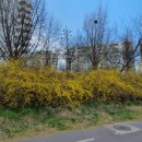 미륭아파트_동 이미지