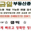 황금자이부동산공인중개사사무소 이미지