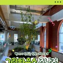 그린하우스 | 창원 마산 가볼만 한곳 대형카페 그린하우스 주남점 후기