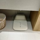 넓은정원별채 | [강릉] 강릉 풀빌라 감성숙소 개별수영장 무료 독채 단체 숙소 서지별담 별채 후기