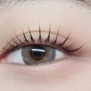 다온래쉬 네이버블로그