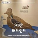 [서산] 충남 서산 실내갈만한곳 버드랜드 후기