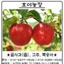 호야 농장 이미지