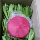 선바위농장 이미지