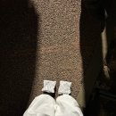 해맞이축제 | 울산 간절곶 1월1일 신년 새해 해맞이축제 직접 다녀온 후기