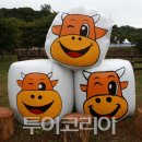 한우소장수 이미지