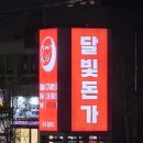 오계절청과