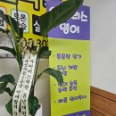 아이리스영어교습소 - 천안시 서북구 불당9길 18 | 분당 수내동 영어 파닉스 배우기 좋은 곳