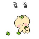 토토펫 애견미용 이미지