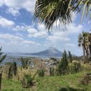 대자연정수기 이미지