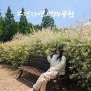 부천식물원 부천자연생태공원 산책코스 전망대 후기