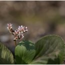 구암농장 이미지