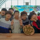 다도농장 이미지