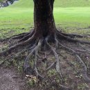 경주(부산) 이미지