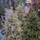 고터 크리스마스마켓❤️ 가정용 트리추천 구매 완성 후기🎄