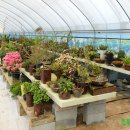 삼도농장 이미지