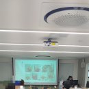 살랑살랑 봄꽃 클래스 네이버블로그