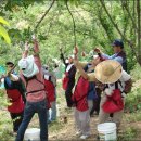 송재영농장 이미지