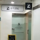 야탑역 광장 | 야탑역요가 하타요가 기초 클래스 후기 @ 요가연