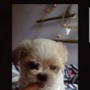 도야동물병원 이미지