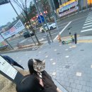 김지웅치과의원 이미지