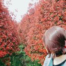 이티농장 이미지