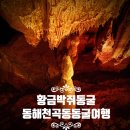 강원도동해교육지원청 | 동해 천곡 황금박쥐동굴 방문 후기! 강원도 가볼 만한 곳 입장료 주차 이용 시간 완벽 정리
