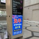 희망메디칼 | 2026 호주 유학박람회 직접 방문후기｜방문 전 꿀팁 위치 및 정보
