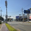 수출대로-1 이미지