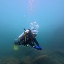 작은한개 이미지