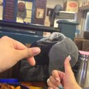 쪼끼쪼끼 이미지