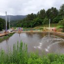 소금강가족낚시터 이미지