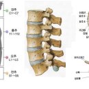 체형교정필라테스 이미지