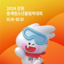 2024 강원 동계 청소년 올림픽대회 이미지