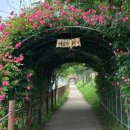 소풍정원 캠핑장 (화장실)1 이미지