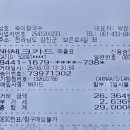 2026 강진 수국축제와 현지인 맛집 옥이칼국수 내돈내산 후기