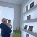 헤일로92 이미지