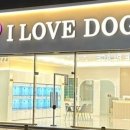 아이러브 독 이미지