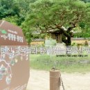 팔공산왕건길 7코스 이미지
