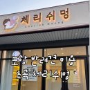 체리쉬미용실 | 포항 반려견 미용 초곡 체리쉬멍 추천 | 예민한 강아지 미용 성공 후기