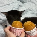 미대농장 | 휴학생의 맘 편한 일상...