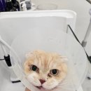신원장쌀롱