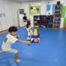 용인대성서태권도 이미지